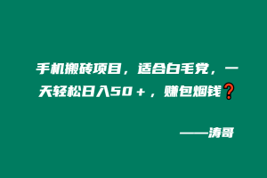 手机搬砖项目，适合白毛党，一天轻松日入50＋，赚包烟钱❓-涛哥