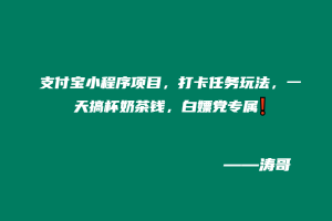 支付宝小程序项目，打卡任务玩法，一天搞杯奶茶钱，白嫖党专属❗-涛哥