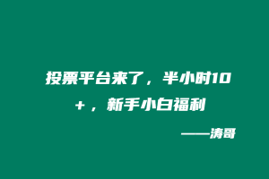 投票平台来了,半小时10+,新手小白福利-涛哥