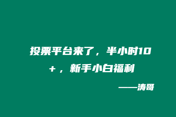 投票平台来了，半小时10＋，新手小白福利-涛哥