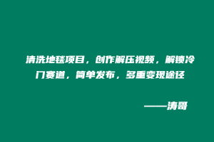 清洗地毯项目，创作解压视频，解锁冷门赛道，简单发布，多重变现途径-涛哥