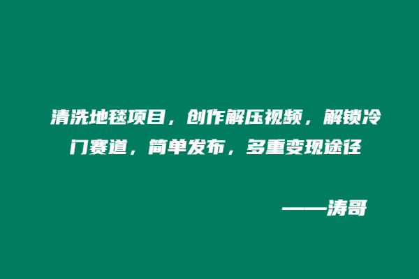 清洗地毯项目,创作解压视频,解锁冷门赛道,简单发布,多重变现途径-涛哥