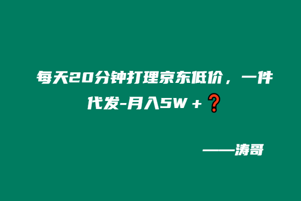 每天20分钟打理京东低价，一件代发-月入5W＋❓-涛哥