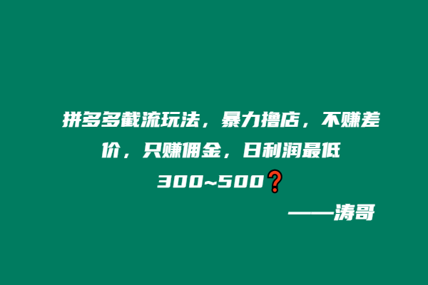 拼多多截流玩法，暴力撸店，不赚差价，只赚佣金，日利润最低300~500❓-涛哥