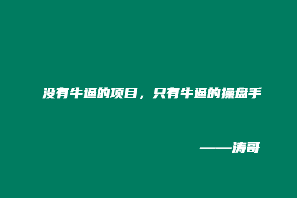 图片[5]-涛哥：日收入1000＋的玩法还叫副业吗？-涛哥