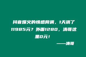 抖音爆火的情感背调，1天搞了11985元？外面1280，涛哥这里0元！-涛哥