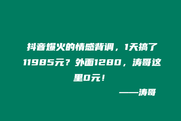 抖音爆火的情感背调，1天搞了11985元？外面1280，涛哥这里0元！-涛哥