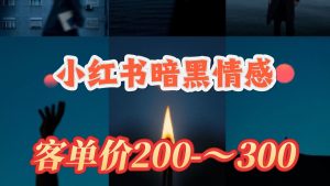 小红书暗黑小众情感赛道,客单价100-300+?用户量很大,0门槛即可操作-涛哥