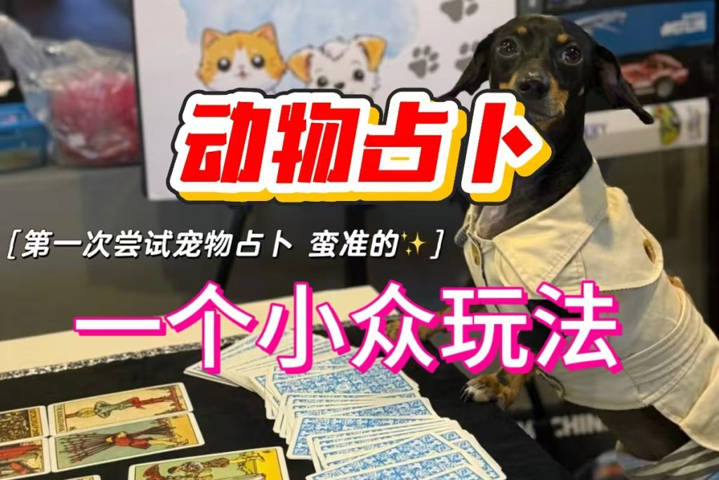 图片[2]-宠物占卜赛道，AI一键生成，实操以后挺有趣，这个玩法大家要不要试一试❓-涛哥