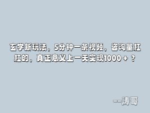 玄学新玩法，5分钟一条视频，咨询量杠杠的，真正意义上一天实现1000＋？-涛哥