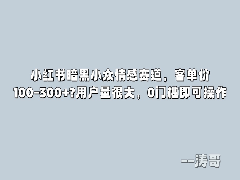 小红书暗黑小众情感赛道，客单价100-300+?用户量很大，0门槛即可操作-涛哥