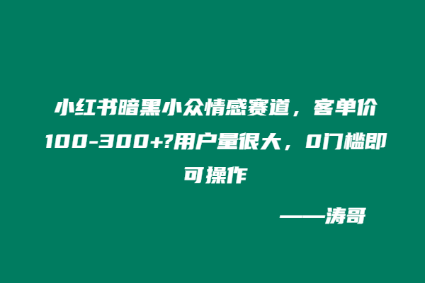 小红书暗黑小众情感赛道，客单价100-300+?用户量很大，0门槛即可操作-涛哥