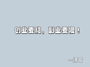 创业要稳,副业要狠!-涛哥