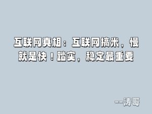 互联网真相：互联网搞米，慢就是快！踏实，稳定最重要-涛哥