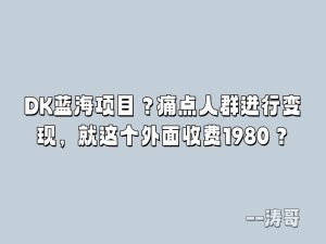 DK蓝海项目?痛点人群进行变现,就这个外面收费1980?-涛哥