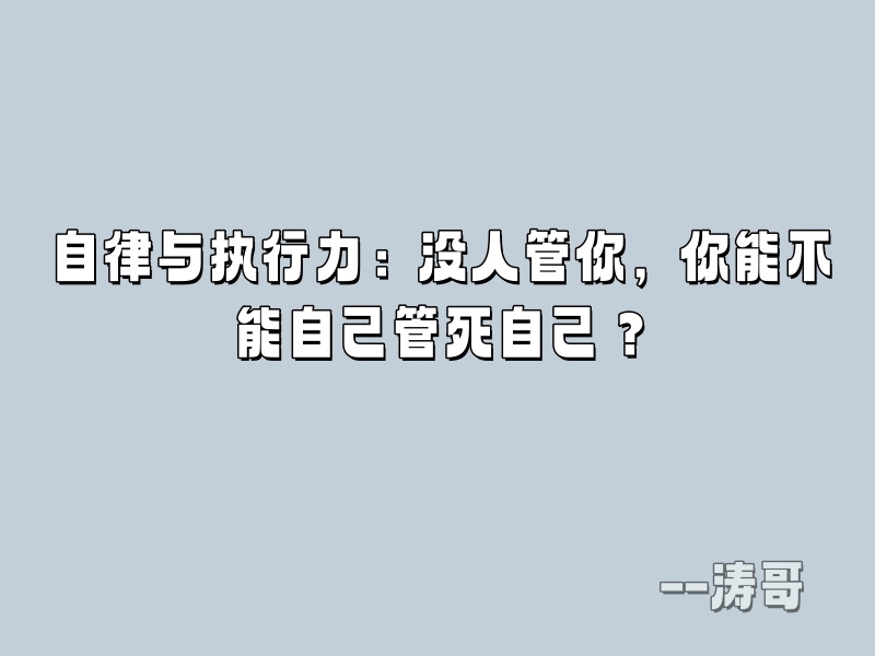 图片[3]-如何正确看待 “超级个体 / 一人公司”：这 4 类人，真的不适合单干！-涛哥