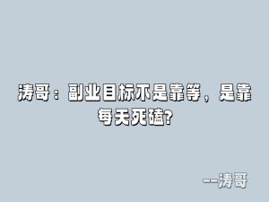 涛哥:副业目标不是靠等,是靠每天死磕?-涛哥