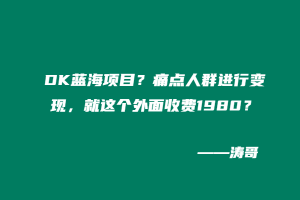 DK蓝海项目?痛点人群进行变现,就这个外面收费1980?-涛哥