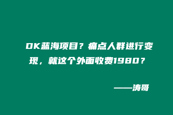 DK蓝海项目？痛点人群进行变现，就这个外面收费1980？-涛哥