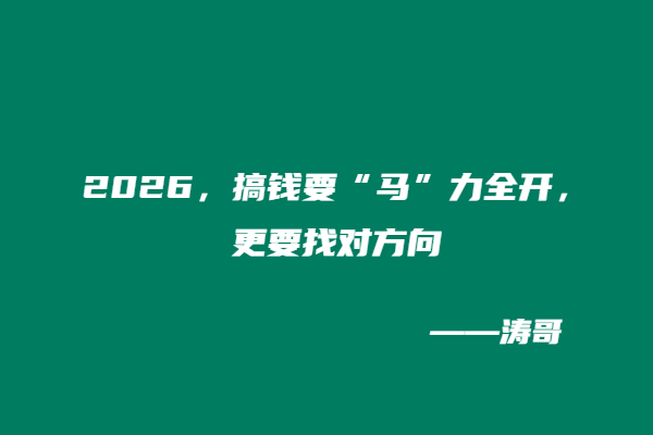 图片[4]-2026，告别内耗，靠互联网副业稳稳赚出第二份底气✨-涛哥