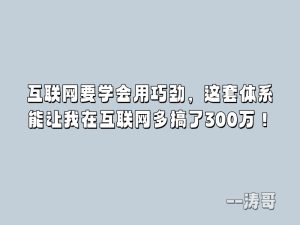互联网要学会用巧劲，这套体系能让我在互联网多搞了300万！-涛哥