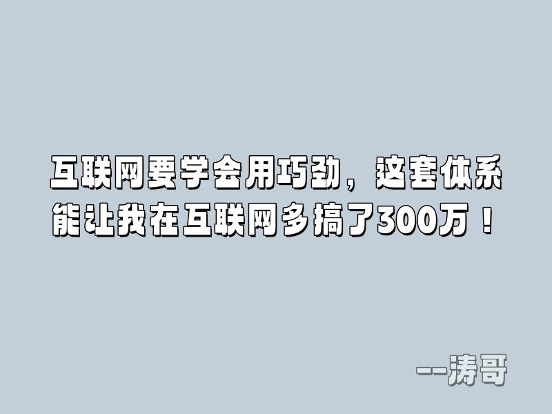 互联网要学会用巧劲，这套体系能让我在互联网多搞了300万！-涛哥