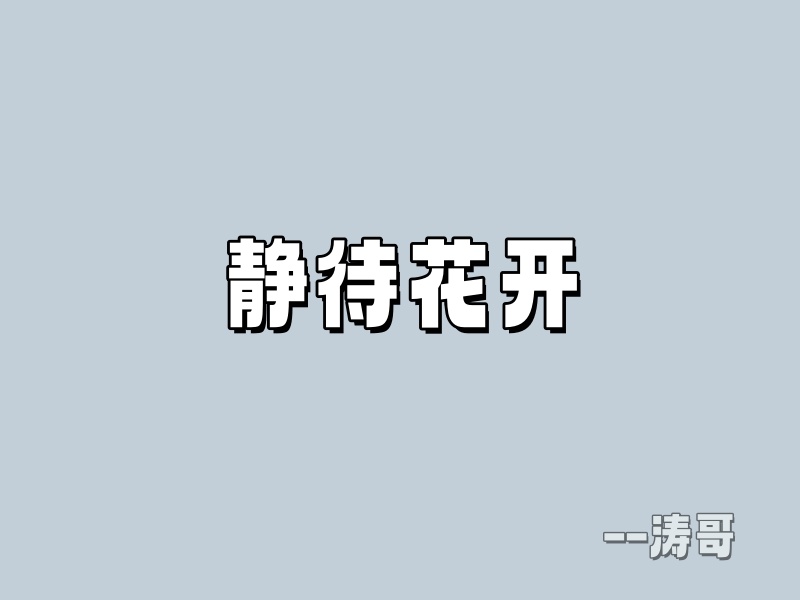 图片[12]-一位学员的真实成长：停止内耗，相信选择的力量！-涛哥