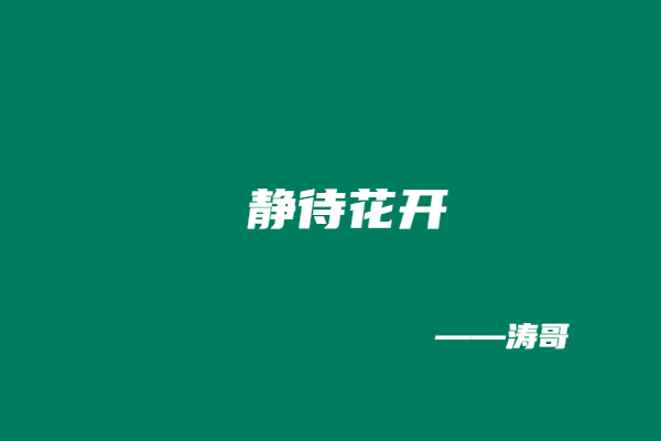 图片[12]-一位学员的真实成长：停止内耗，相信选择的力量！-涛哥