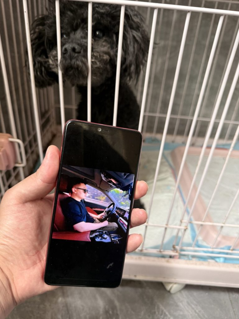 图片[6]-第7期【稳品计划】~选对产品深耕，稳住心态前行！-涛哥