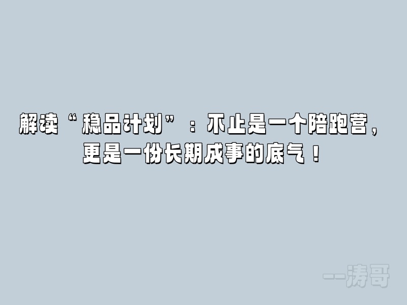 解读“稳品计划”：不止是一个陪跑营，更是一份长期成事的底气！-涛哥