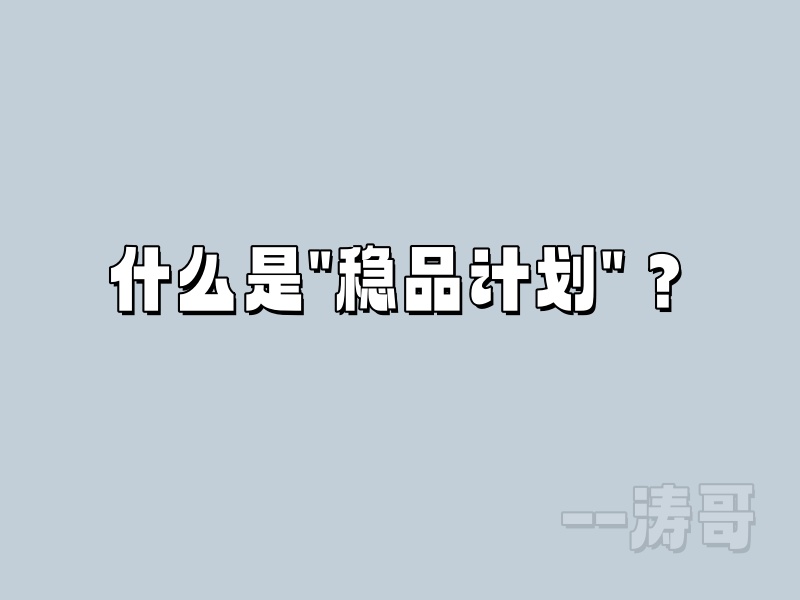 图片[3]-解读“稳品计划”：不止是一个陪跑营，更是一份长期成事的底气！-涛哥