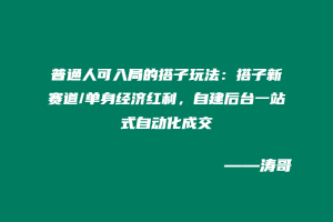 普通人可入局的搭子玩法：搭子新赛道/单身经济红利，自建后台一站式自动化成交-涛哥