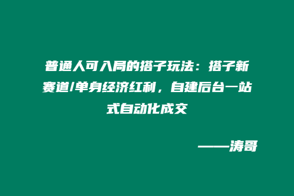 普通人可入局的搭子玩法：搭子新赛道/单身经济红利，自建后台一站式自动化成交-涛哥