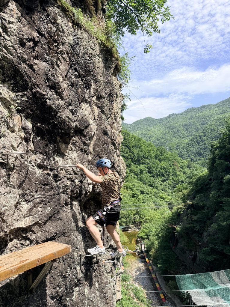 图片[6]-西安飞拉达感悟：做副业赚不到钱的人，大多输在“半山腰”-涛哥