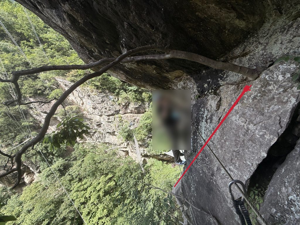 图片[10]-西安飞拉达感悟：做副业赚不到钱的人，大多输在“半山腰”-涛哥