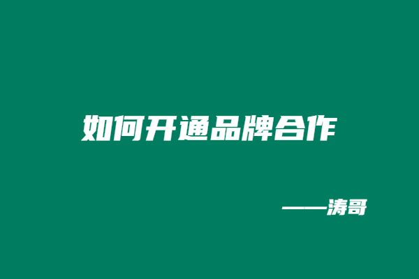 图片[6]-时隔2个月，涛哥团队上新：得物商单玩法，交付和产出支持随意对比！（即将给VIP开放）-涛哥