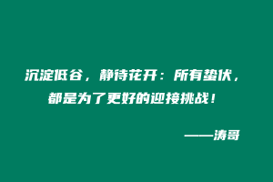 沉淀低谷,静待花开:所有蛰伏,都是为了更好的迎接挑战!-涛哥