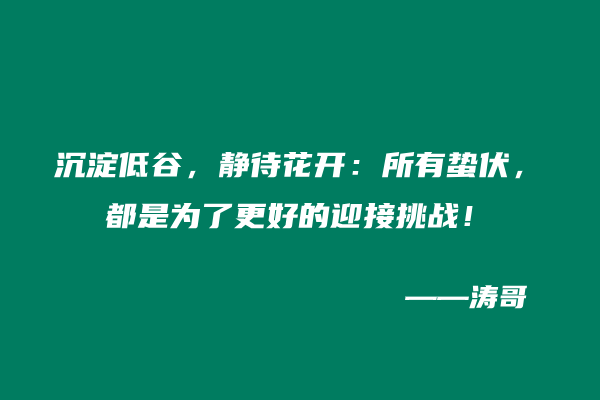 沉淀低谷，静待花开：所有蛰伏，都是为了更好的迎接挑战！-涛哥